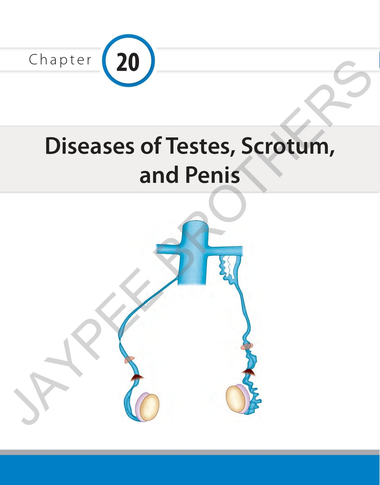 ILLUSTRATED SURGERY A BASIC ROAD MAP FOR THE POSTGRADUATES