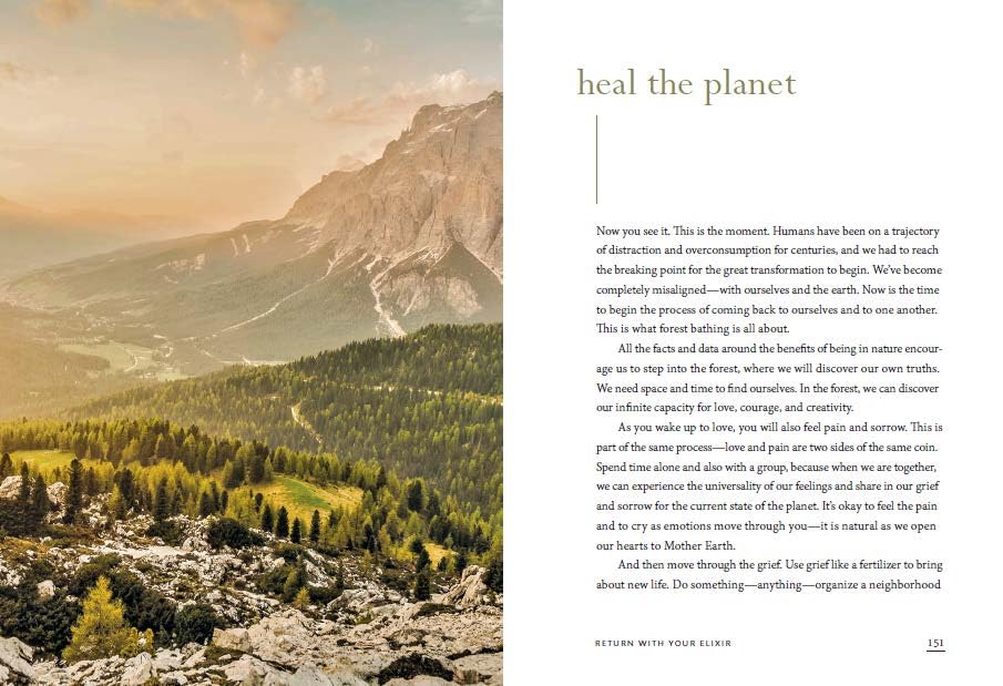 The Healing Magic of Forest Bathing: Finding Calm, Creativity, and Connection in the Natural World
