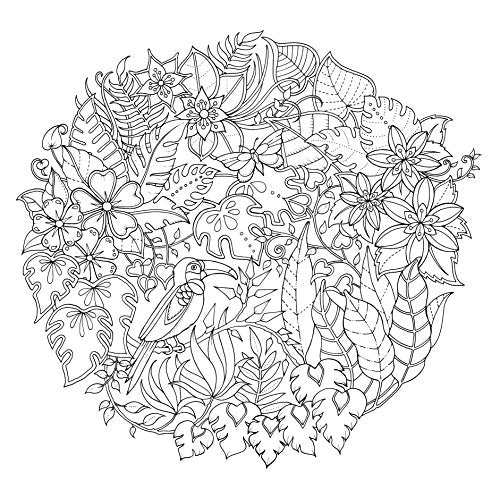 Magical Jungle: An Inky Expedition & Colouring Book - Retail Maharaj