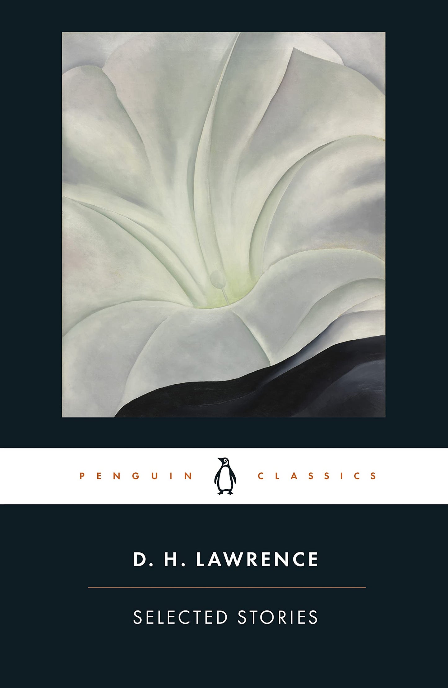 Selected Stories (Penguin Classics)