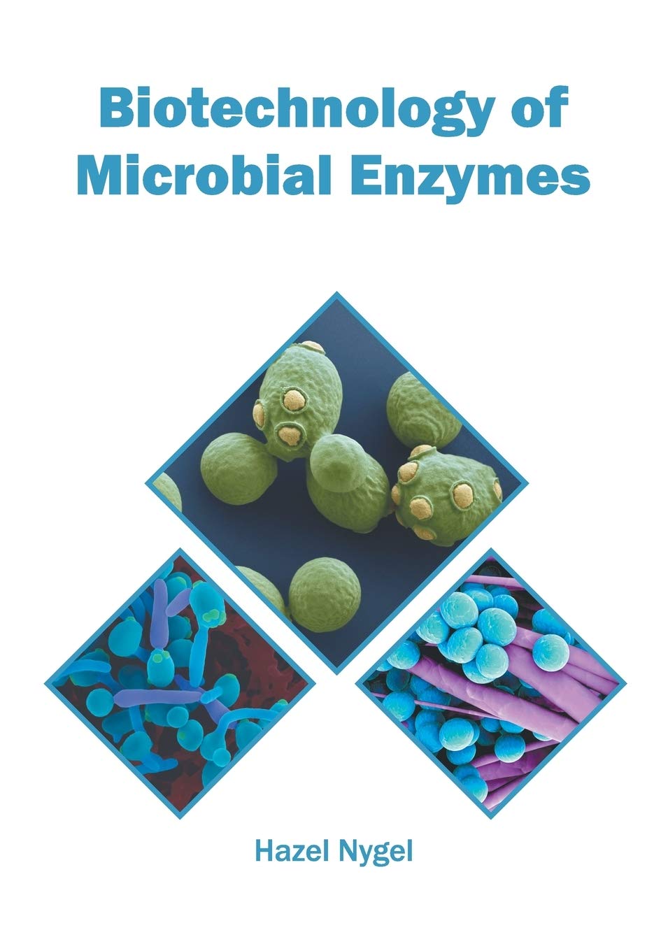 Biotechnology of Microbial Enzymes