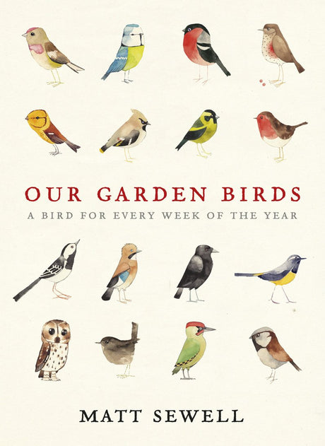 Our Garden Birds: a stunning illustrated guide to the birdlife of the British Isles - Retail Maharaj