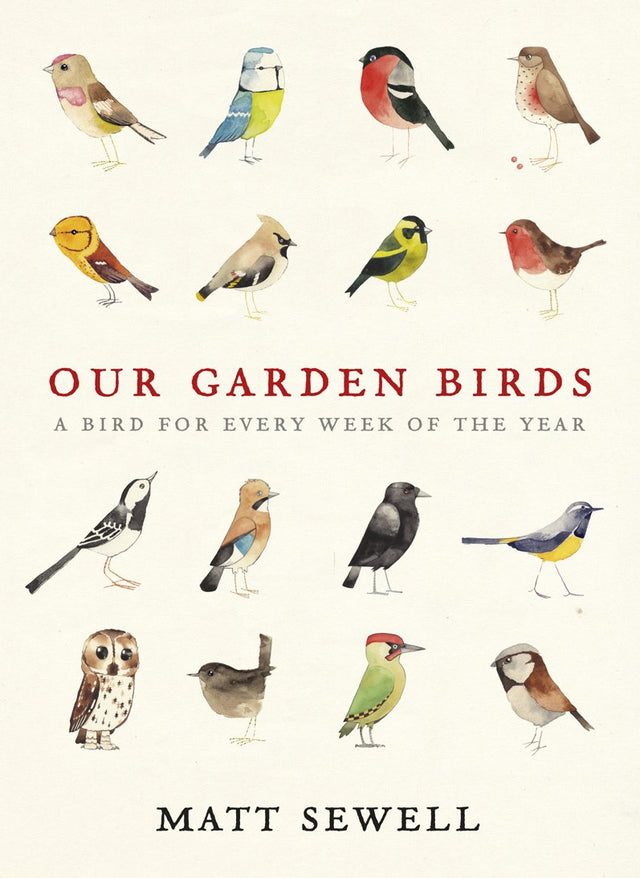 Our Garden Birds: a stunning illustrated guide to the birdlife of the British Isles - Retail Maharaj