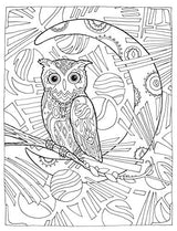 SARNAT-CREATIVE HAVEN OWLS CB