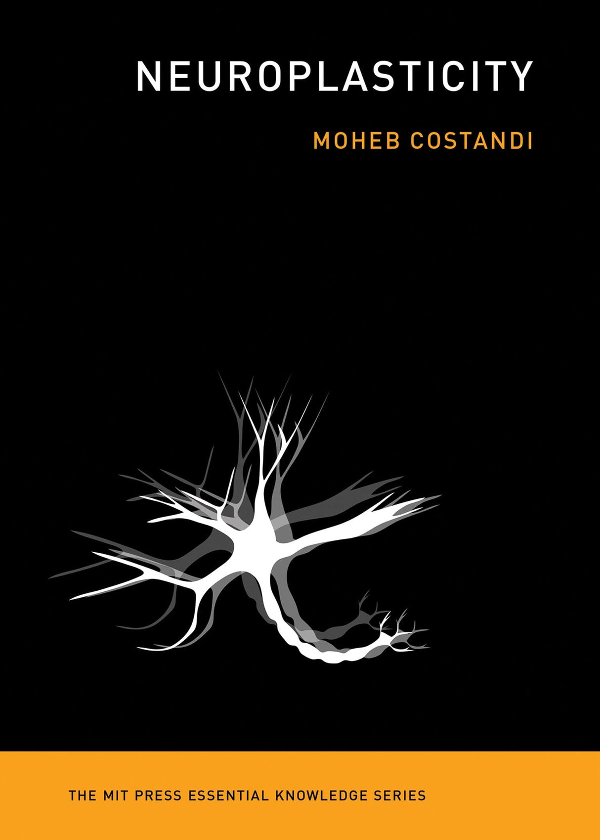 Neuroplasticity - Retail Maharaj