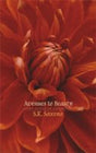 Avenues to Beauty: Eight Essays in Aesthetics - Retail Maharaj