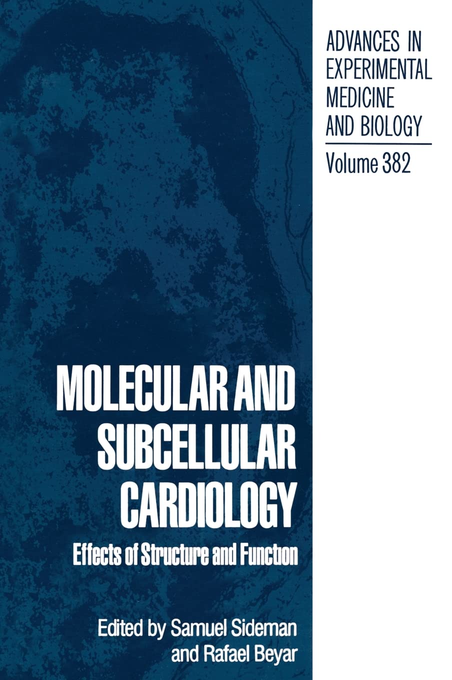 Molecular and Subcellular Cardiology: Effects of Structure and Function - Proceedings of the Ninth Goldberg Workshop Held in Haifa, Israel, December ... in Experimental Medicine and Biology)