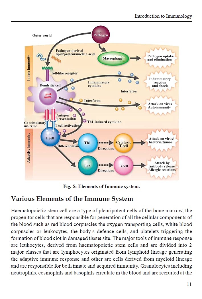 Basics of Immunology