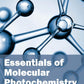 Essentials of Molecular Photochemistry