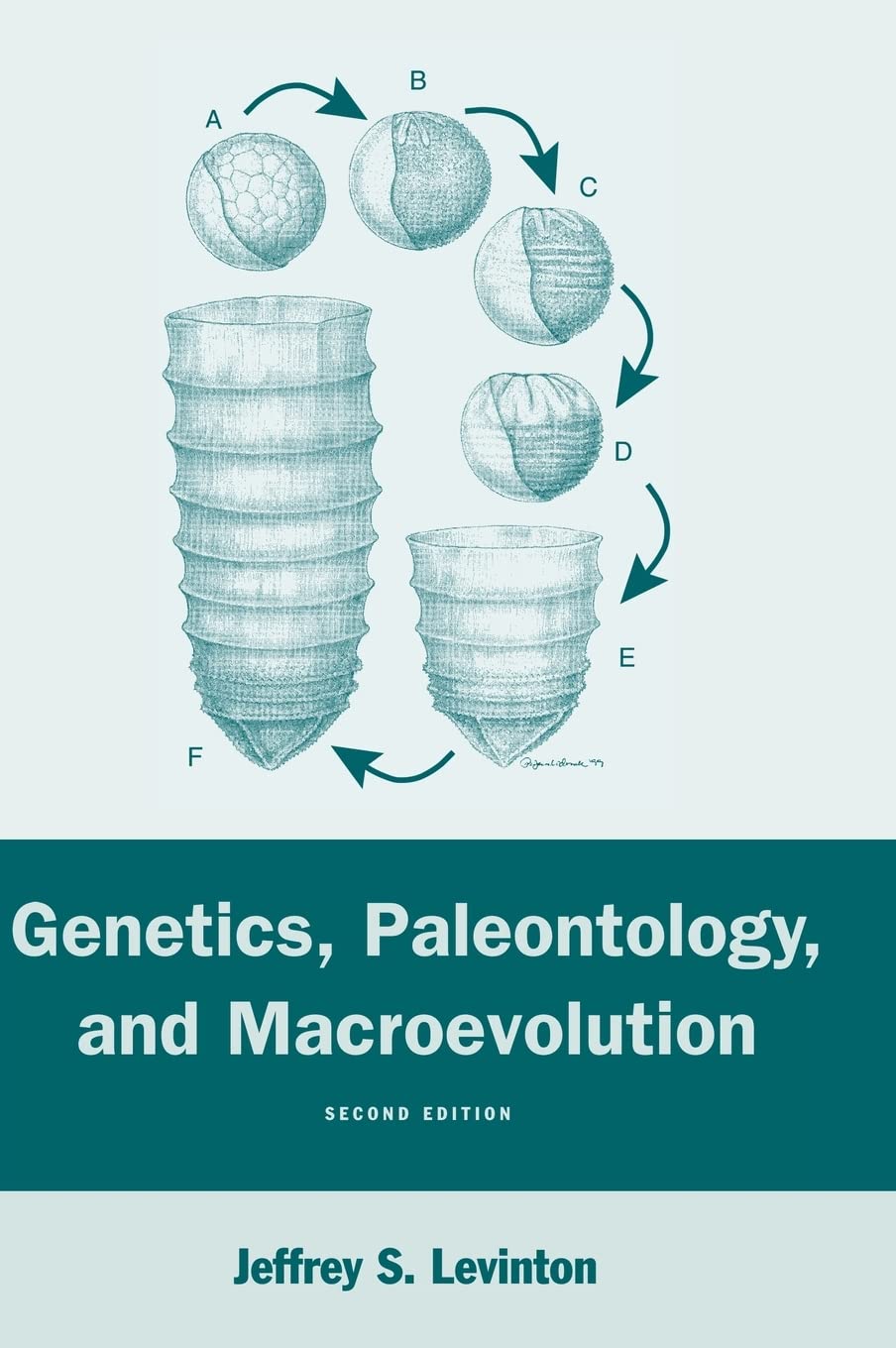 Genetics, Paleontology, and Macroevolution