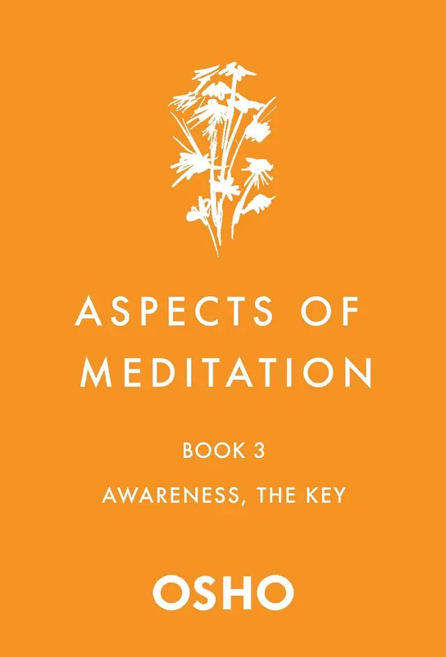 Aspects of Meditation Book 3 - Retail Maharaj
