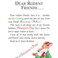 GERONIMO STILTON #23 VALENTINES DAY DISASTER