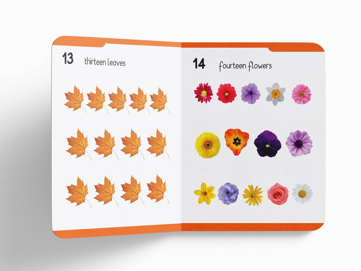 Early Learning Padded Book of Numbers: Board Book for Kids | Learn Counting from 1 to 20 with Bright and Engaging Pictures | Durable Padded Board Book for Babies, Toddlers & Preschoolers | Ages 0–5 Years - Retail Maharaj