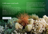 Coral Reefs: Band 18/Pearl (Collins Big Cat) - Retail Maharaj