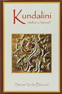 Kundalini Stilled or Stirred? - Retail Maharaj