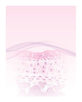 Practical Histology Workbook 3Ed (Pb 2025)