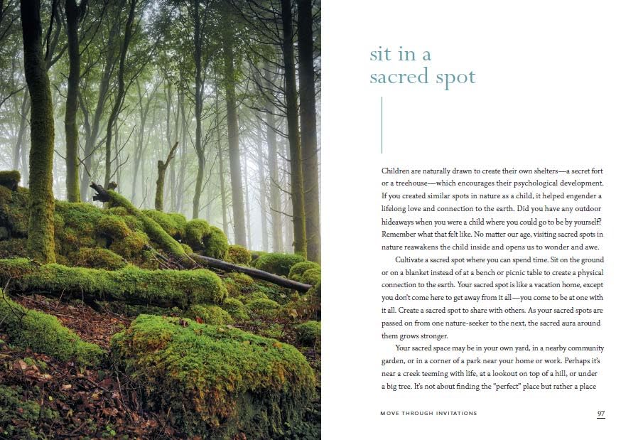 The Healing Magic of Forest Bathing: Finding Calm, Creativity, and Connection in the Natural World