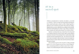 The Healing Magic of Forest Bathing: Finding Calm, Creativity, and Connection in the Natural World