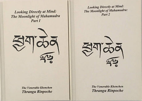 Looking Directly at Mind: The Moonlight of Mahamudra - Retail Maharaj