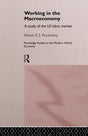 Working in the Macro Economy: A study of the US Labor Market (Routledge Studies in the Modern World Economy) - Retail Maharaj