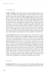 Medieval Graffiti: The Lost Voices of England's Churches - Retail Maharaj