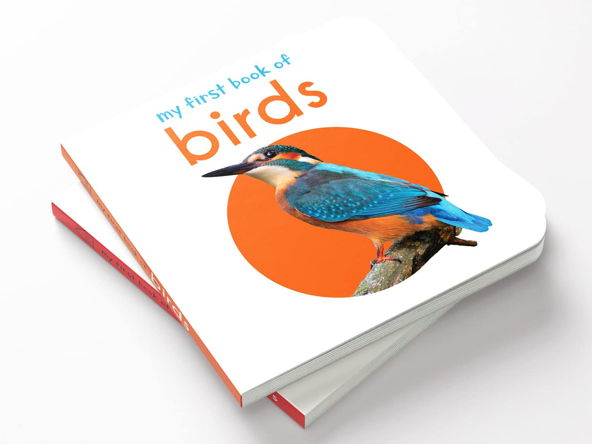 My First Book of Birds | First Birds Board Book for Babies, Toddlers & Preschoolers | Learn About Common Birds with Bright and Realistic Pictures | Early Learning Book for Kids Ages 0-3 Years - Retail Maharaj