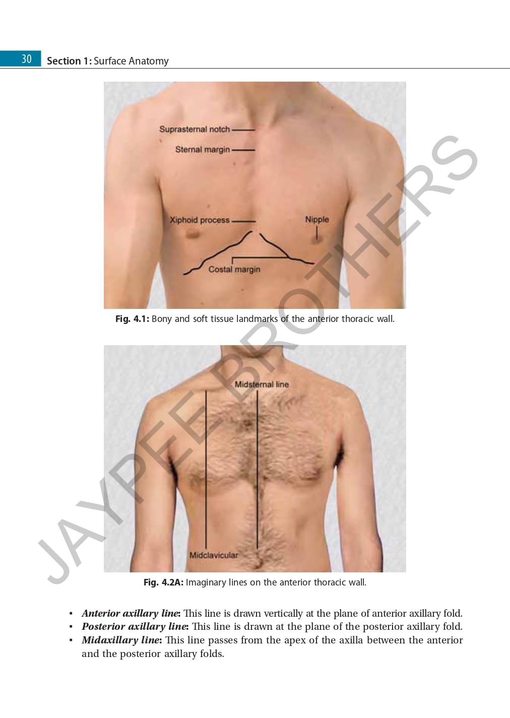 Surface and Radiological Anatomy with a Clinical Perspective