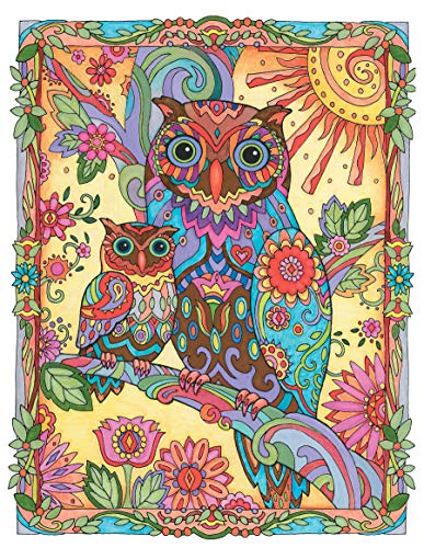 SARNAT-CREATIVE HAVEN OWLS CB