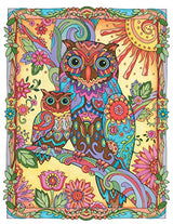 SARNAT-CREATIVE HAVEN OWLS CB
