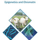 Animal Genetics: Epigenetics and Chromatin