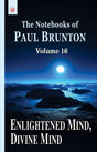 Enlightened Mind, Divine Mind: The Notebooks of Paul Brunton: Volume 16 - Retail Maharaj