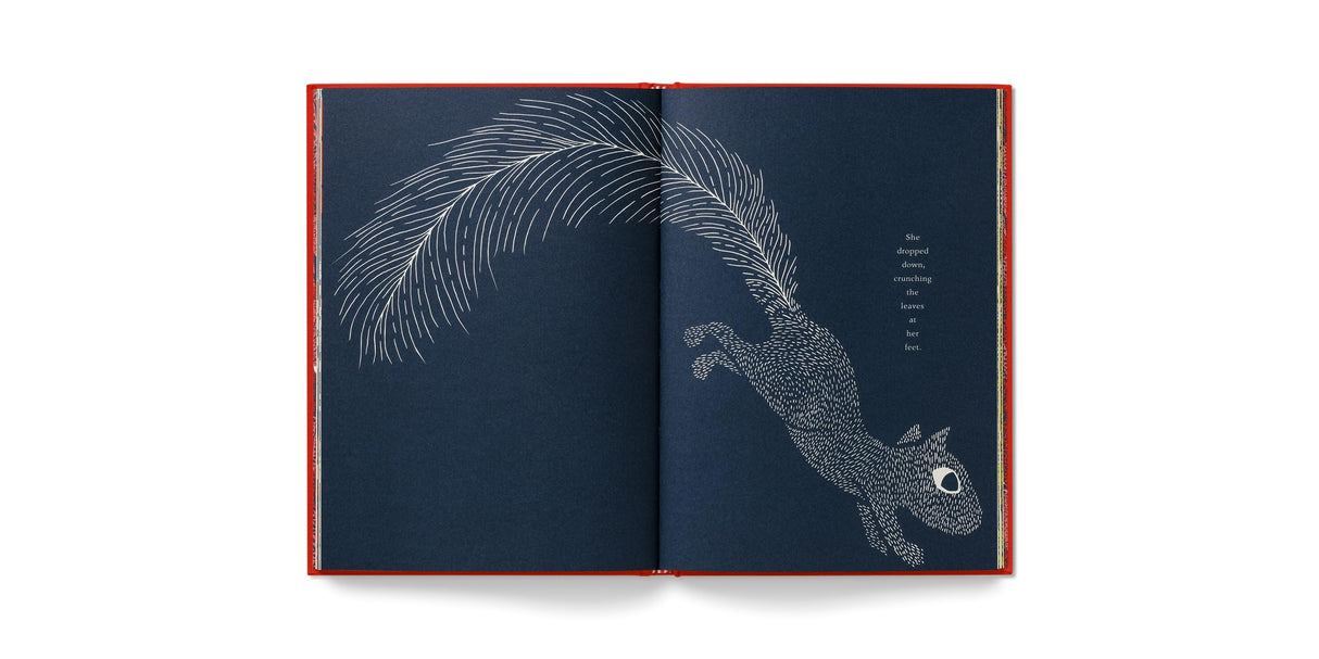 The Squirrel and the Lost Treasure - Retail Maharaj