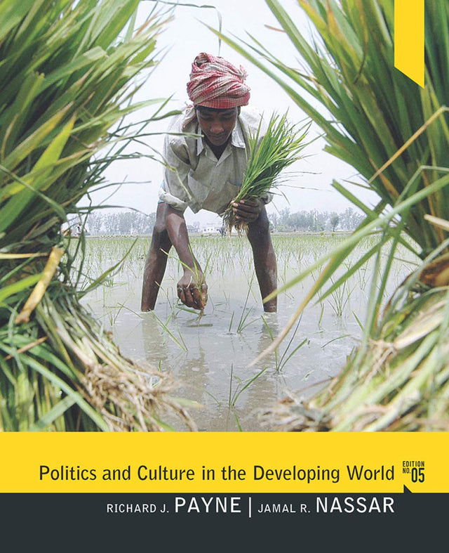 Politics and Culture in the Developing World - Retail Maharaj