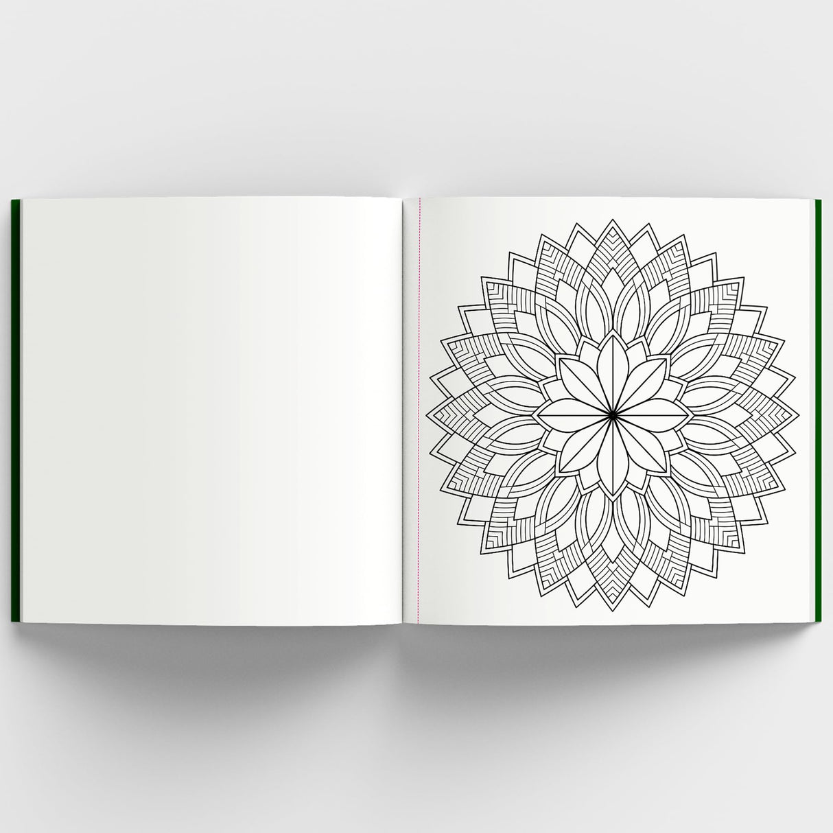 Adult Coloring Book: Meditative Mandalas for Relaxation & Stress Relief | A Mindfulness & Therapy Guide for Adults to Unwind & Boost Creativity: Adult ... Unwind & Boost Creativity [Select Learning] - Retail Maharaj