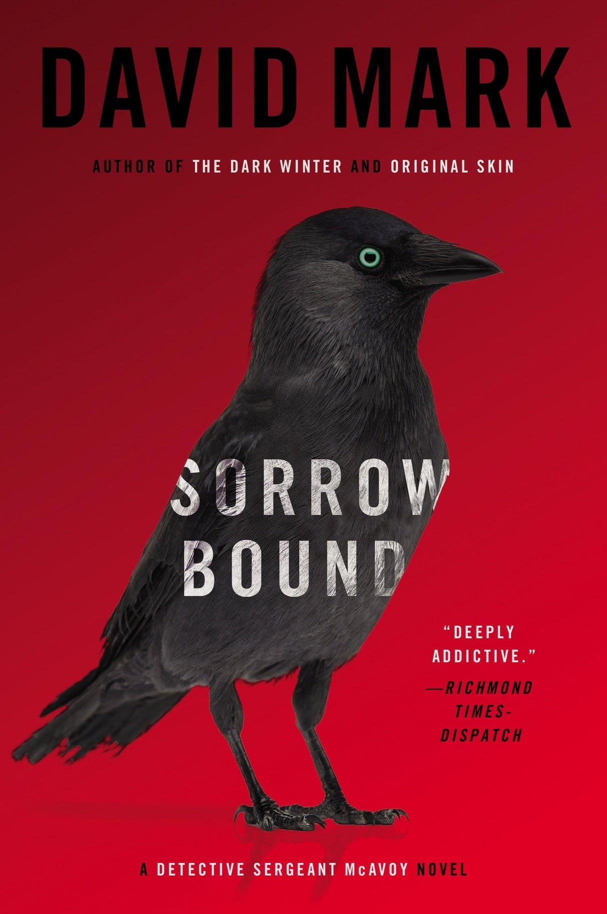 Sorrow Bound: A Detective Sergeant McAvoy Novel: 3
