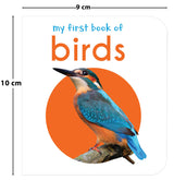 My First Book of Birds | First Birds Board Book for Babies, Toddlers & Preschoolers | Learn About Common Birds with Bright and Realistic Pictures | Early Learning Book for Kids Ages 0-3 Years - Retail Maharaj