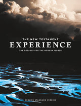 The New Testament Experience: The Gospels for the Modern World - Retail Maharaj