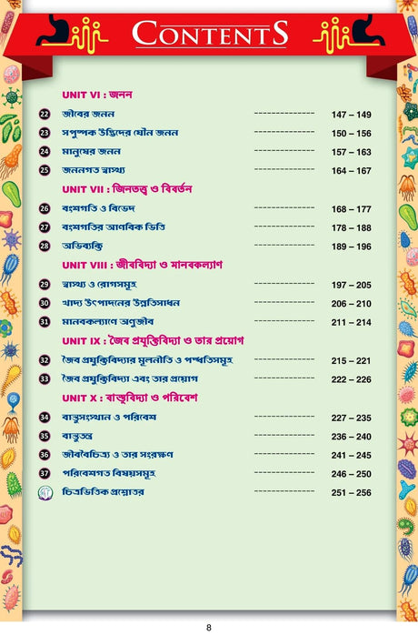 Ray & Martin Neet Jibbidya Cracker - Retail Maharaj