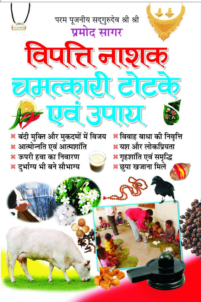 Vipatti Nashak Chamatkari Totke Evam Upaye [Hindi] - Retail Maharaj