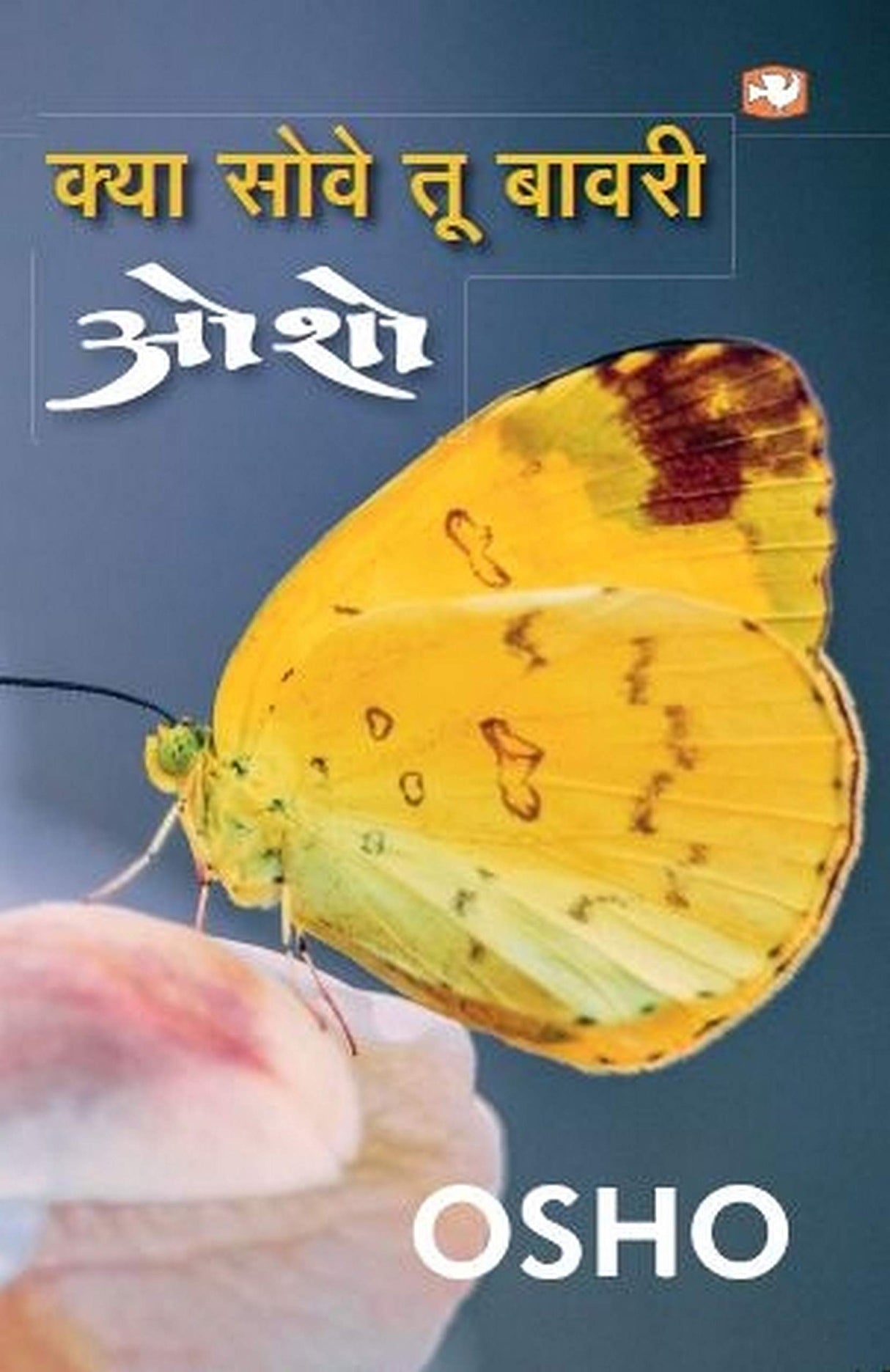 Osho: Kya Sove tu Bawri [Hindi] - Retail Maharaj