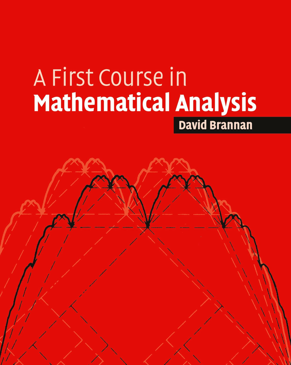 A First Course in Mathematical Analysis