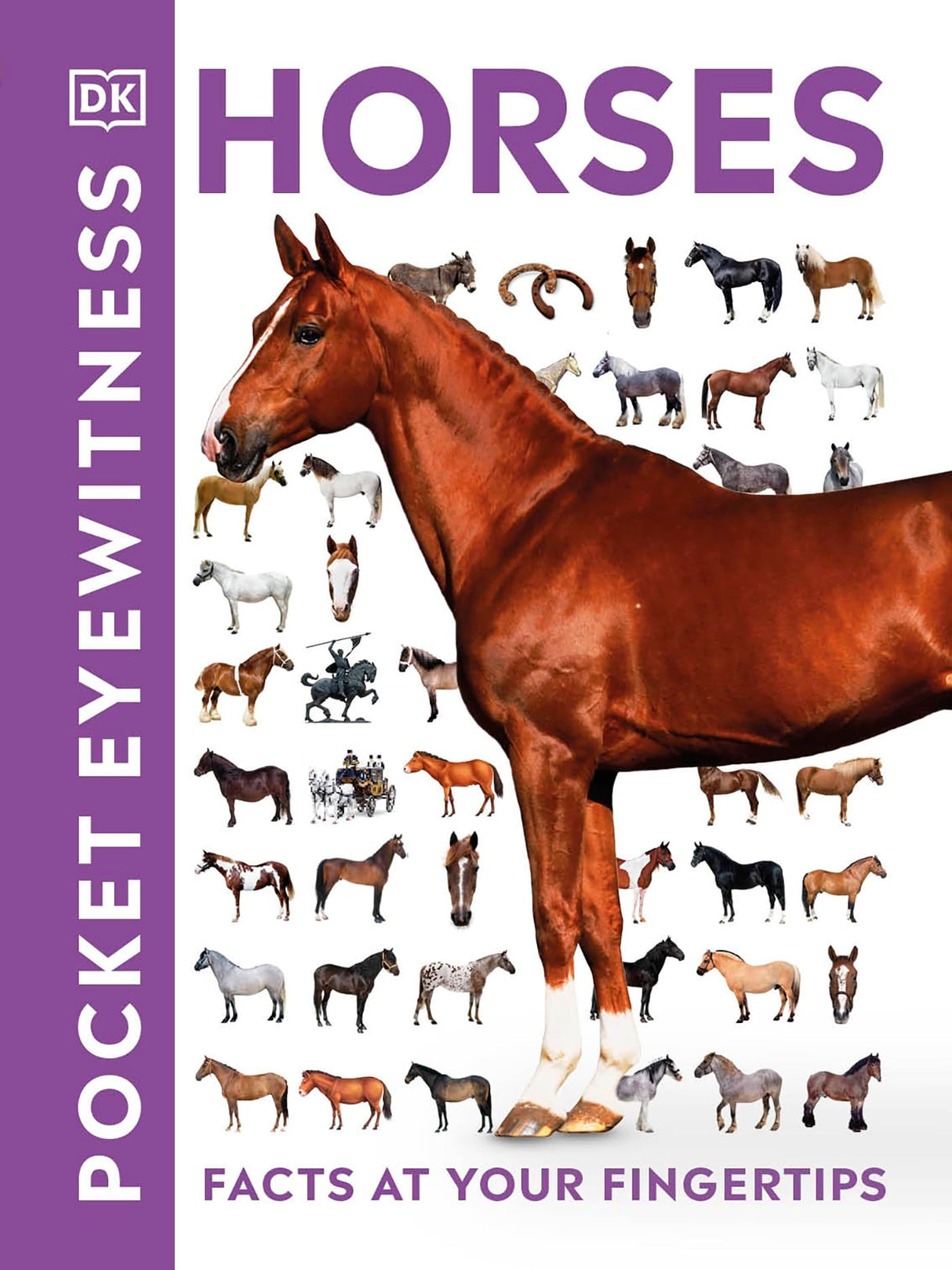 HORSES