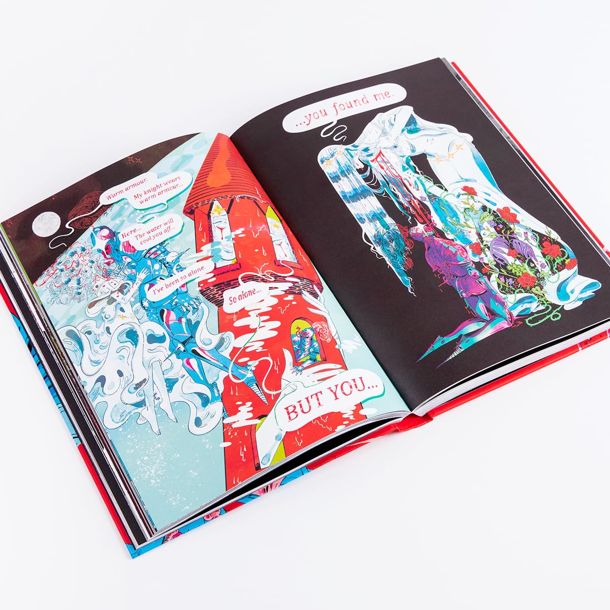 A Guest in the House: ‘Vividly drawn and masterfully plotted.’ Observer, GRAPHIC NOVEL OF THE MONTH - Retail Maharaj
