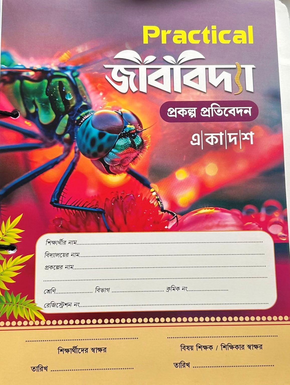 Ray & Martin Class 11 60/60 MCQ , Practical & Project Jib Vidya 4000+ Questions - Retail Maharaj
