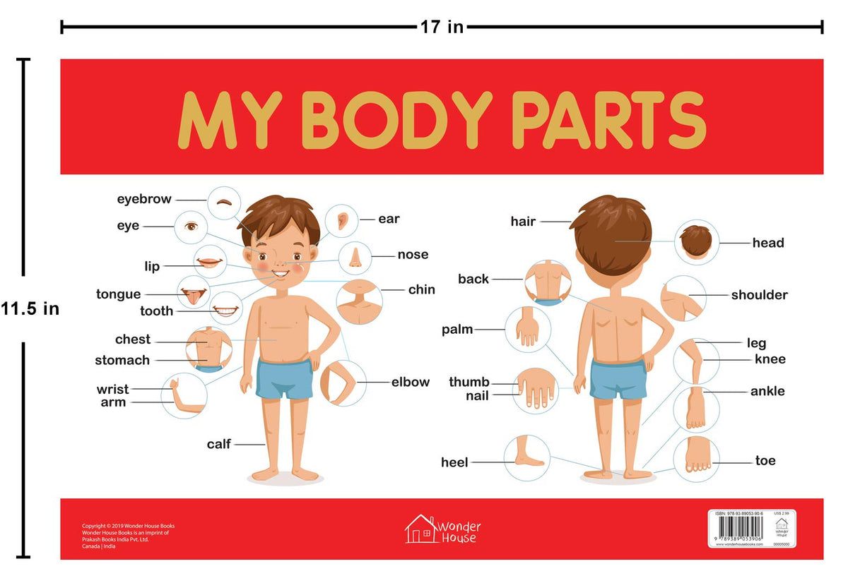 My Body Parts Chart - Early Learning Educational Chart For Kids: Perfe