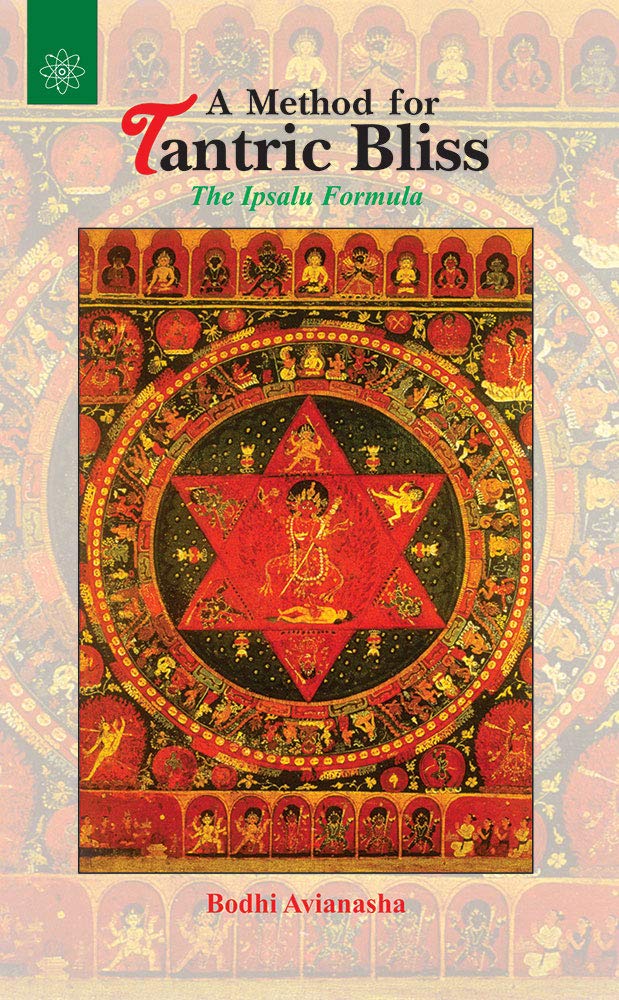 The Tantric Path to Higher Conscious [English] - Retail Maharaj