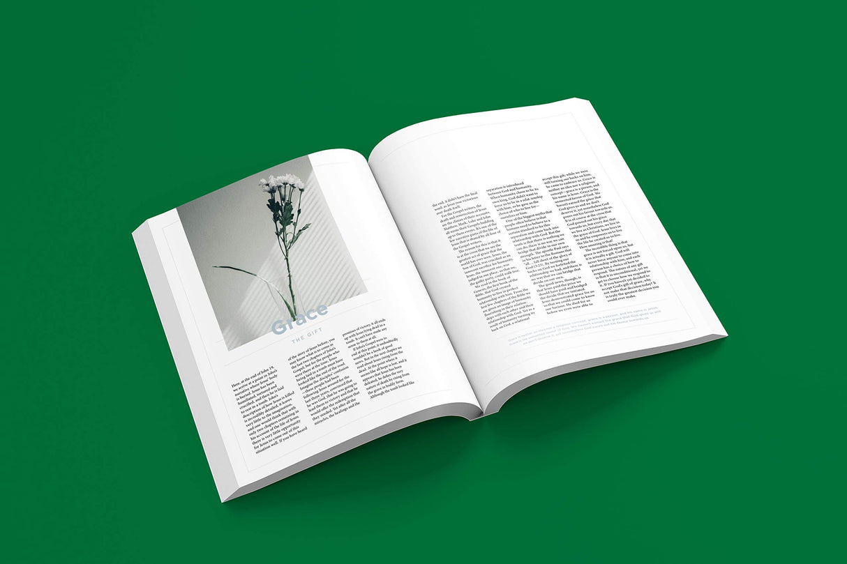 The New Testament Experience: The Gospels for the Modern World - Retail Maharaj