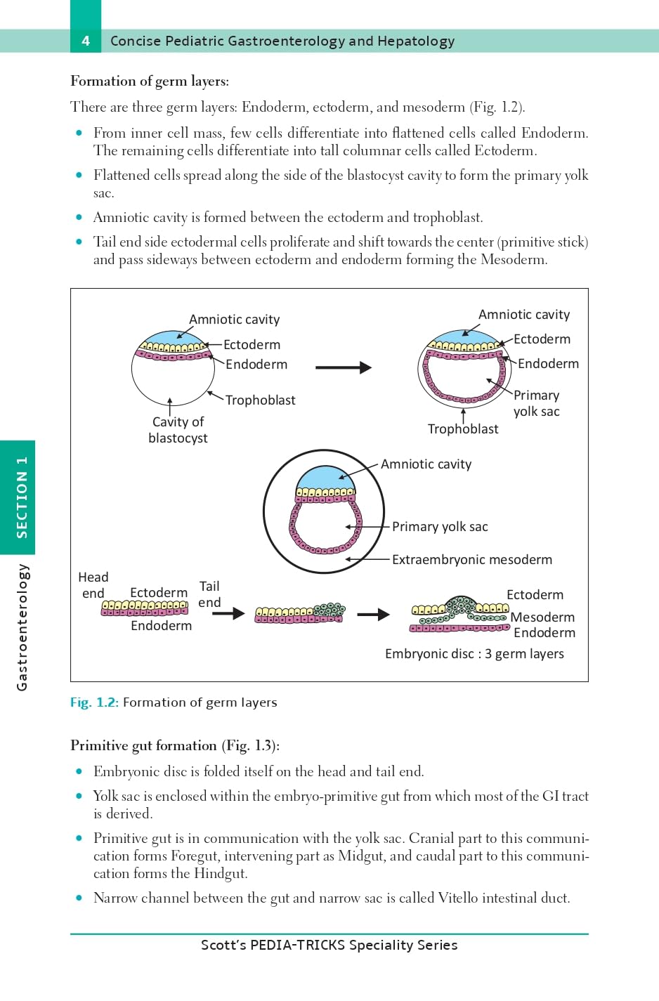Scott's Pediatricks Specialty Series Concise Pediatric Gastroenterology and Hepatology