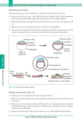 Scott's Pediatricks Specialty Series Concise Pediatric Gastroenterology and Hepatology