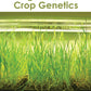 Agricultural Crop Genetics